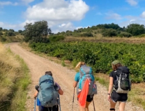 Dimanche 7 septembre – 23ème ordinaire