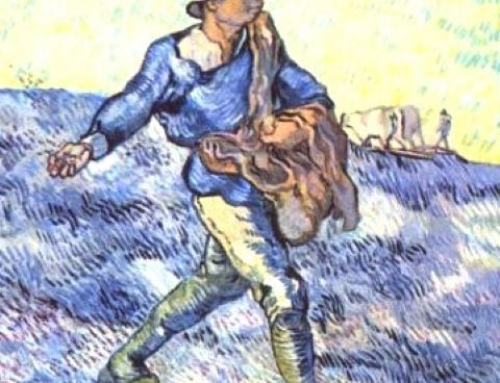 Dimanche 12 juillet 2026 – Ordinaire 15